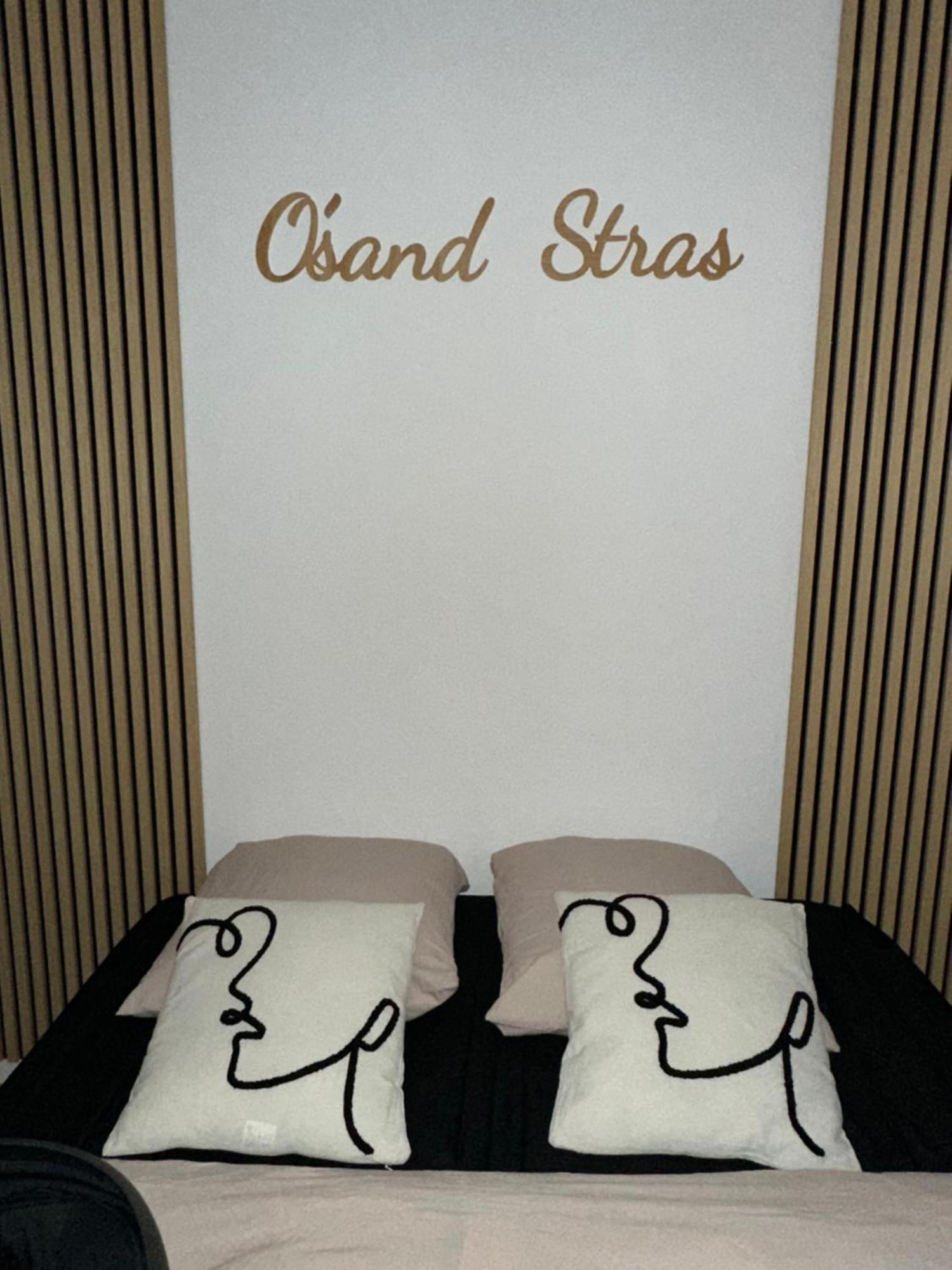 O Sand Stras Studio 25M Carre 스트라스부르 외부 사진